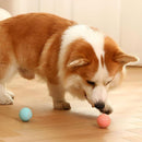 Bola elétrica interativa